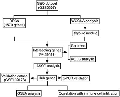 Key biomarkers and latent pathways of dysferlinopathy: Bioinformatics analysis and in vivo validation